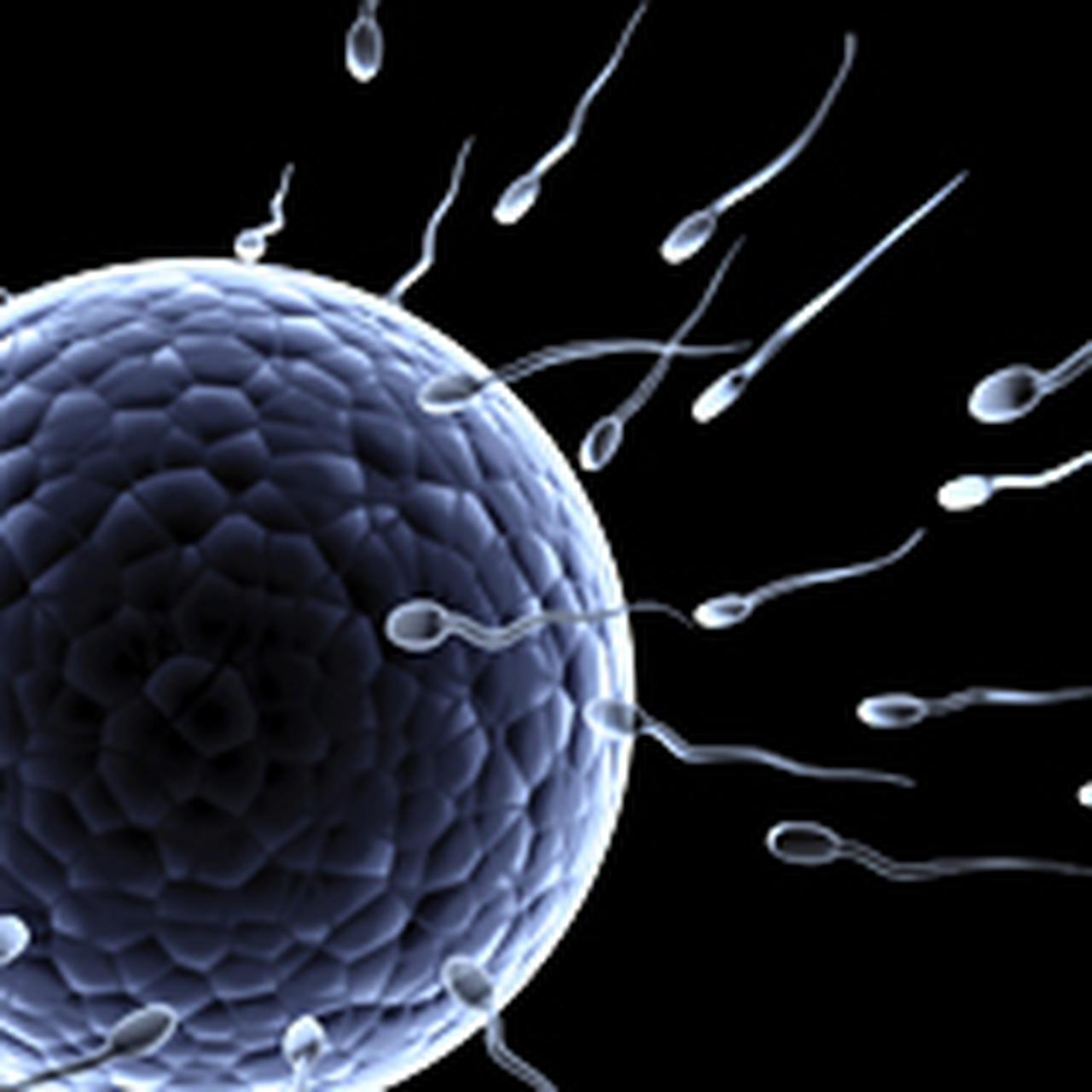 10 мифов о сперме - Страсти