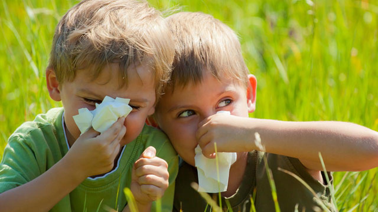 Аллергия в лагере у детей