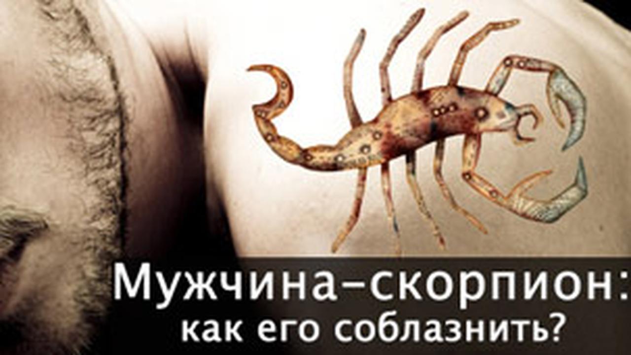 Мужчина скорпион в постели совместимость - masculan