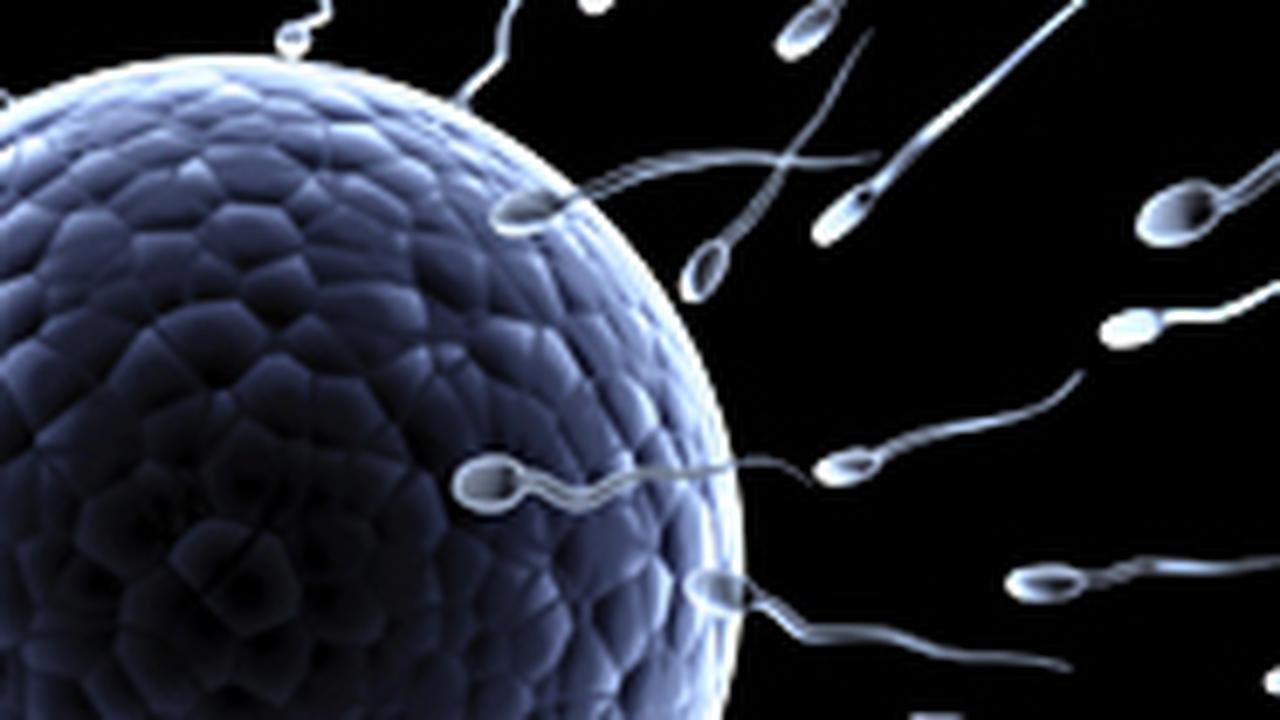 10 мифов о сперме - Страсти