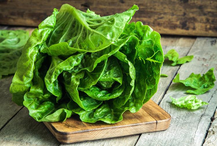 Для чего можно использовать листовой салат и как его хранить?