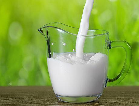 Советы для друзей: Козье молоко для начинающих