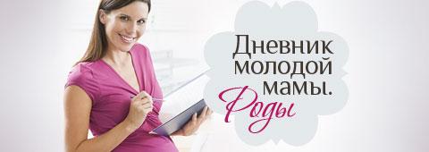 Е. Шапиро: Дневник молодой мамы. Психологическая помощь родителям в первый год жизни ребенка